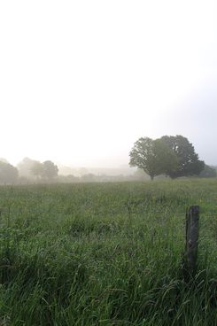 Brumes matinales sur le Perche - © PNRP