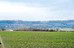 La vallée de l'Huisne en aval de Condé-sur-Huisne