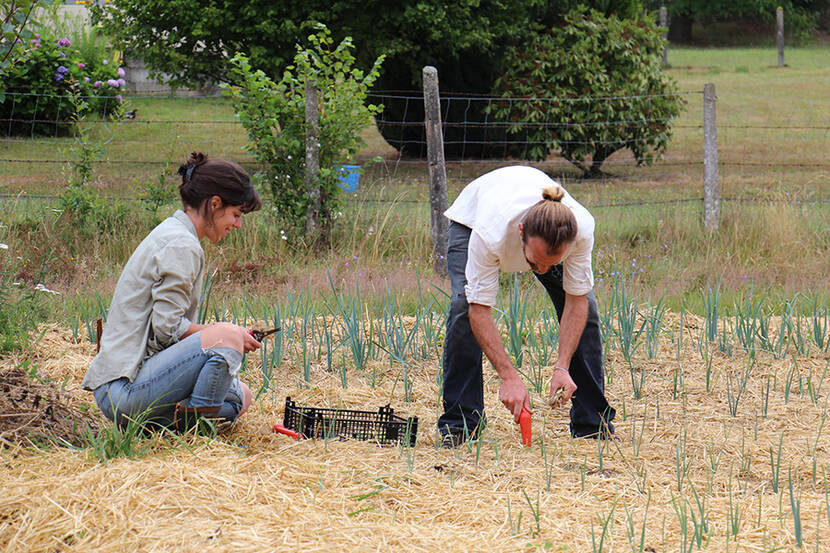 En partenariat avec Rhizome, le Parc accompagne l'installation de producteurs en circuits courts au moyen de l’Espace-test agricole du Perche.