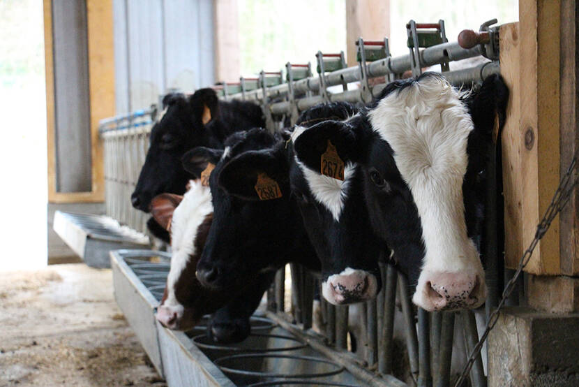 L’entreprise Pur Perche porte le projet de création d’une unité de transformation laitière à Rémalard-en-Perche, pour produire une gamme de produits laitiers transformés.